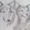 Maggie & Woofie
